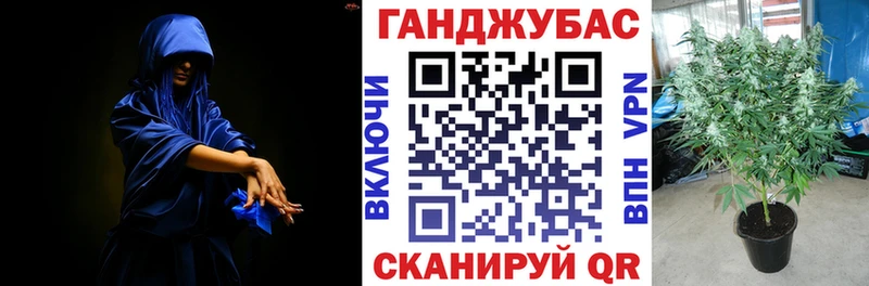 Конопля Ganja  Купить где  Костерёво 